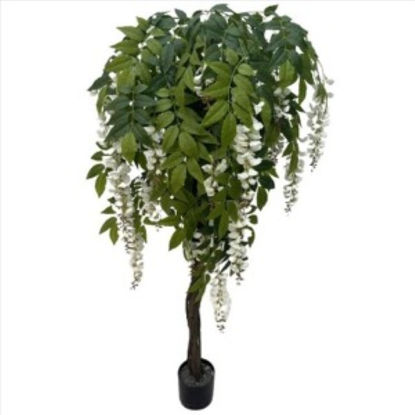 weay289220001-planta-c-flor-y-macet