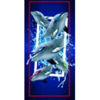 ning999041-tabla-de-surf-c-asas-alo