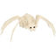 bola72412-esqueleto-arana-37x21x11c