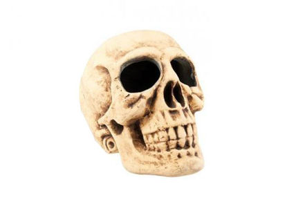 bola74522-craneo-gigante-calavera-4