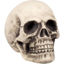 bola71989-calavera-27x27x38cm-hallo