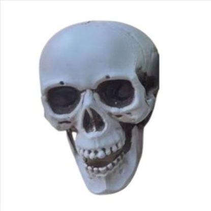 weay2326722-calavera-halloween-13x1