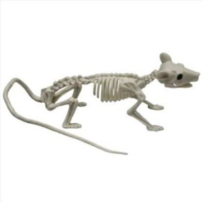 weay142122101-esqueleto-rata-hallow