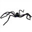weay1887074-arana-halloween-c-luz-1