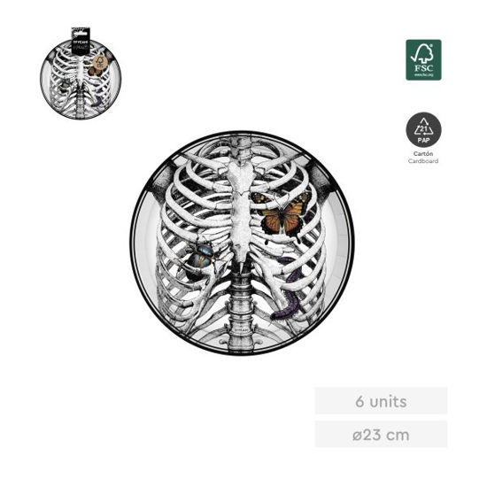 ambe1194050fm-plato-llano-esqueleto
