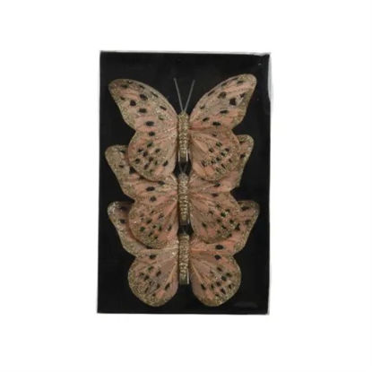 kaem729322-mariposa-c-brillo-en-cli
