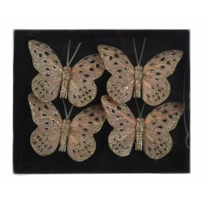 kaem729321-mariposa-c-brillo-en-cli