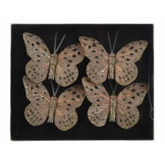 kaem729321-mariposa-c-brillo-en-cli