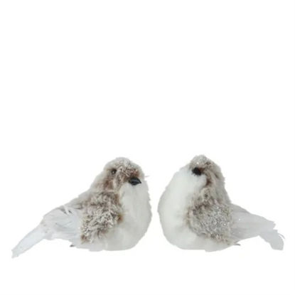 kaem724177-pajaro-c-brillo-en-clip-