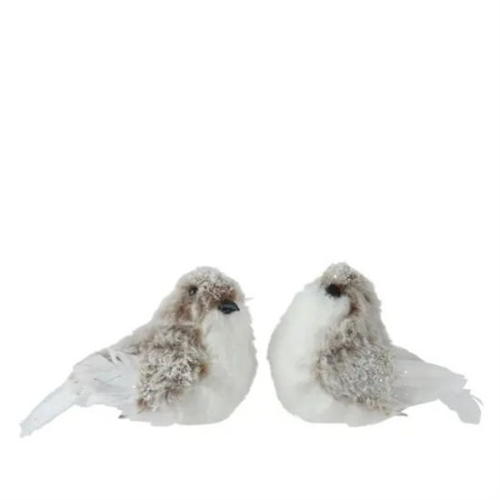 kaem724177-pajaro-c-brillo-en-clip-