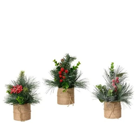 kaem681164-arbol-mini-stdo-3-modelo
