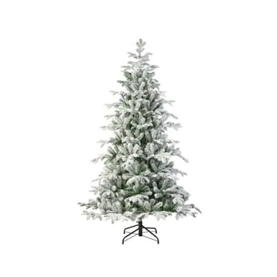 kaem684517-abeto-balsamea-nevado-13