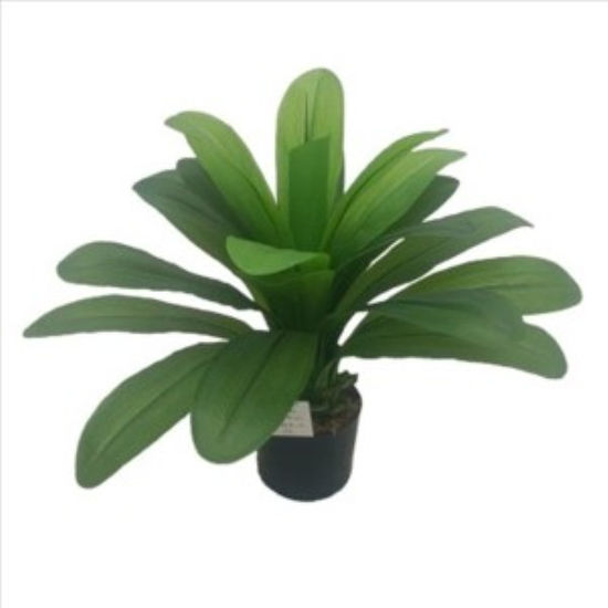 weay2892024-planta-65cm-c-maceta-17