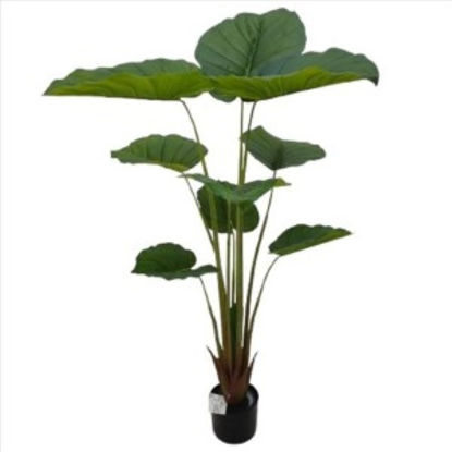 weay2892038-planta-130cm-c-maceta-1