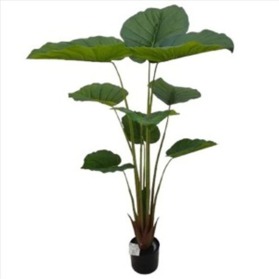 weay2892038-planta-130cm-c-maceta-1