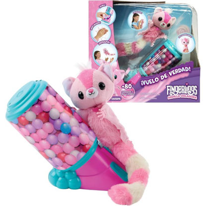 biza61853147-ardilla-voladora-finge