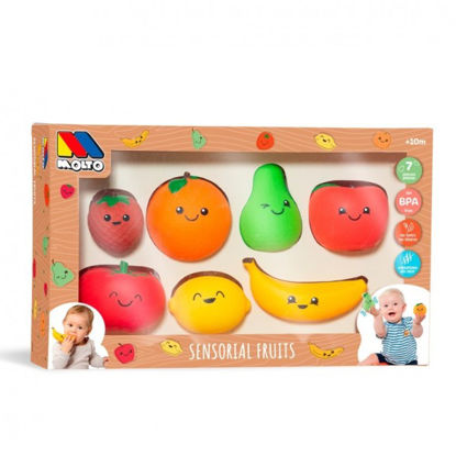 molt25574-juego-frutas-molto-7pz