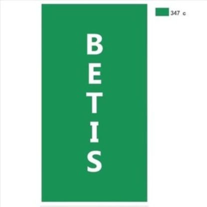 weay1721002d1-toalla-playa-betis-10