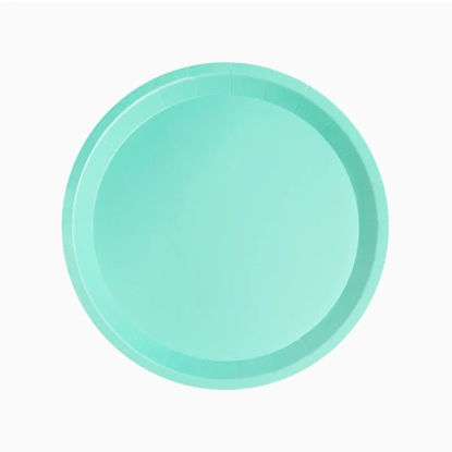 ambe8070fm-plato-llano-redondo-20-5