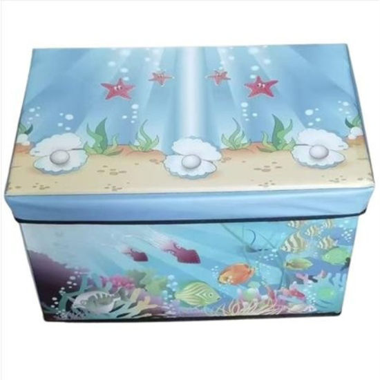 weay249655105-caja-organizadora-c-t