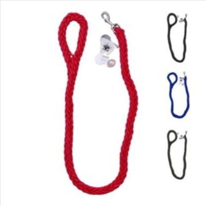 weay19370022-correa-perro-paseo-120