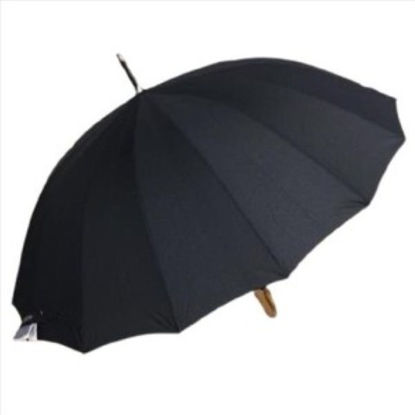 weay2338367-paraguas-baston-caballe