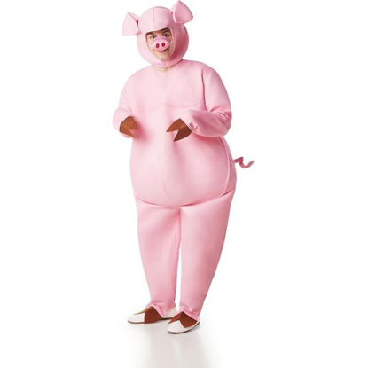 bany9214-disfraz-cerdo-s