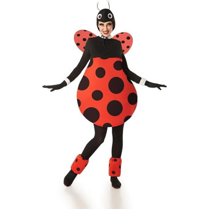 bany9025-disfraz-mariquita-s
