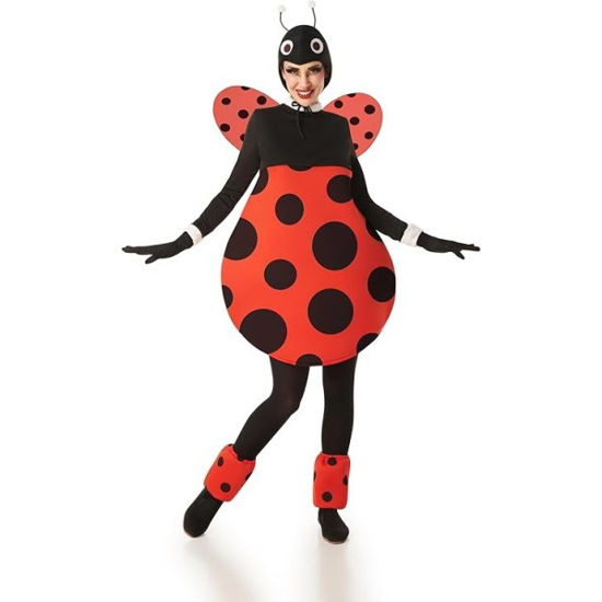 bany9025-disfraz-mariquita-s