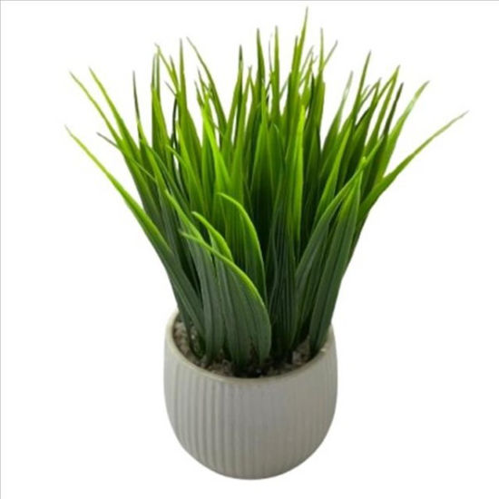 weay2884011-maceta-c-planta-grass-9