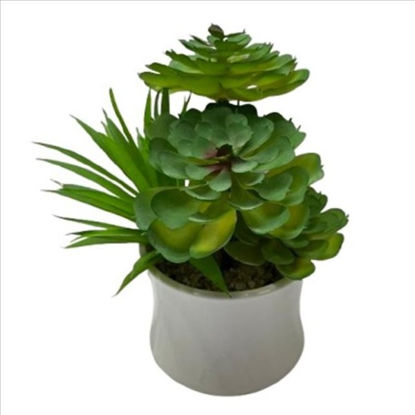 weay2884012-maceta-c-planta-10x9x19