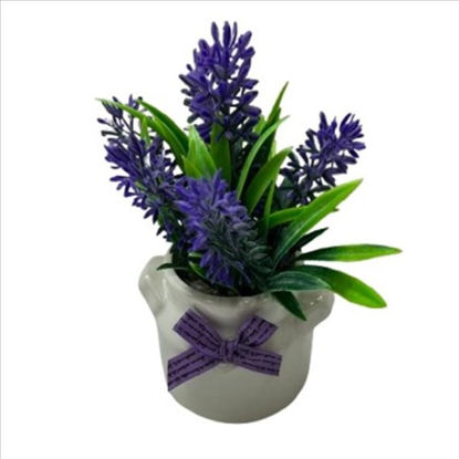 weay2884013-maceta-c-planta-lavanda