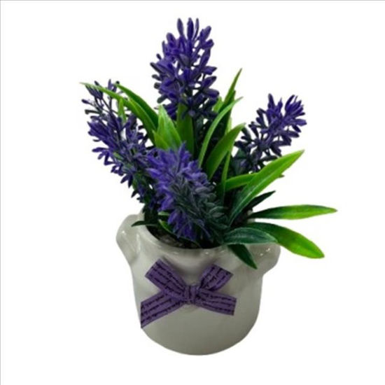 weay2884013-maceta-c-planta-lavanda