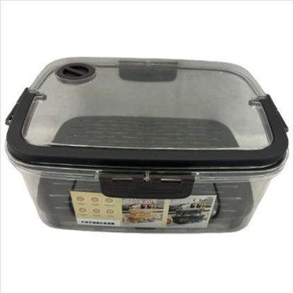 weay263008101-fiambrera-vacio-31x24