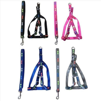 weay253550215-arnesl-correa-mascota