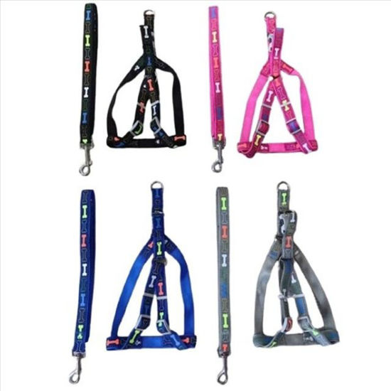 weay253550215-arnesl-correa-mascota