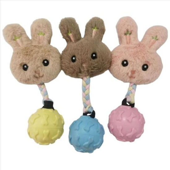 weay1937551-accesorio-mascota-conej