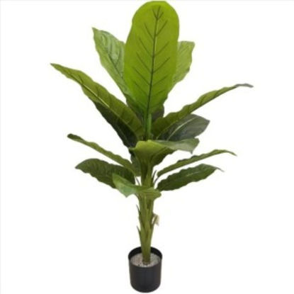weay2892004-planta-c-maceta-120cm