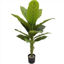 weay2892004-planta-c-maceta-120cm