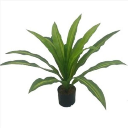 weay2892025-planta-70cm-c-maceta-14