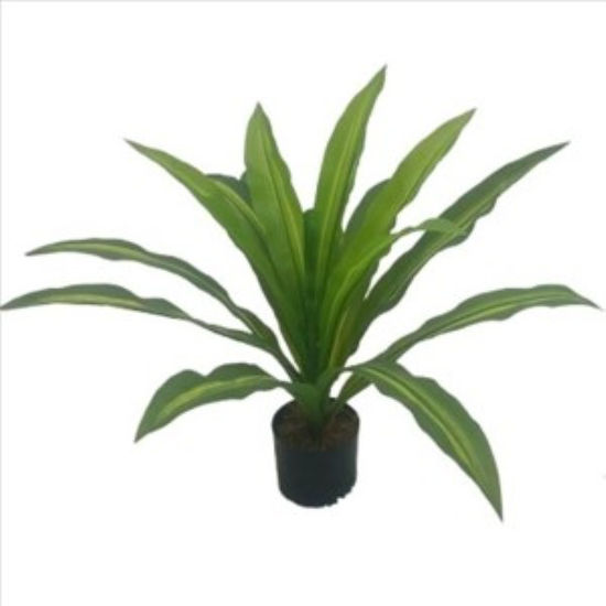 weay2892025-planta-70cm-c-maceta-14