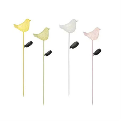 kaem890725-pajaros-c-luz-solar-jard