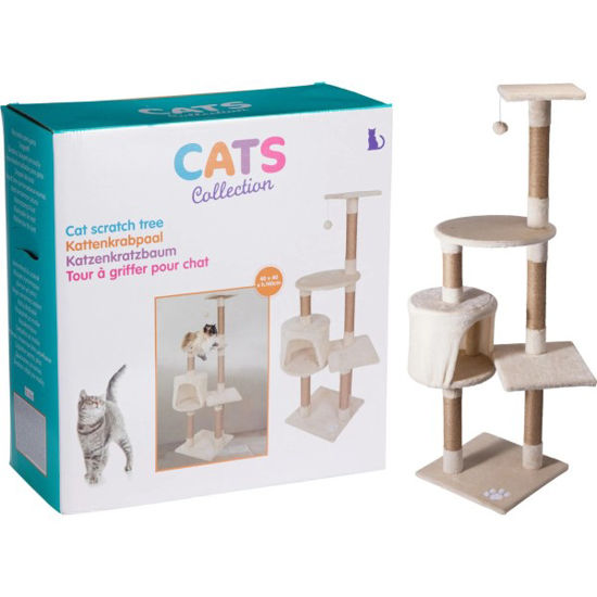 koop485600230-arbol-gato-gris-40x40