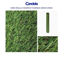 -til6892-cesped-florida-30mm-2x5m-m