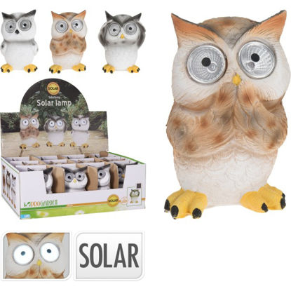 koop795201510-buho-solar-9x12cm-std