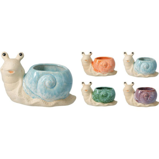 koop252251100-macetero-caracol-11cm