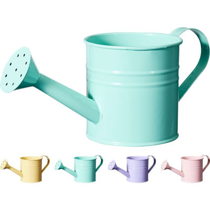 koopme1000420-regadera-metal-stdo-4