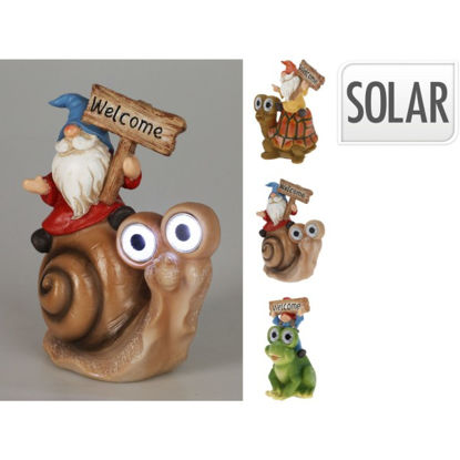 koop252731870-luz-solar-enano-sobre