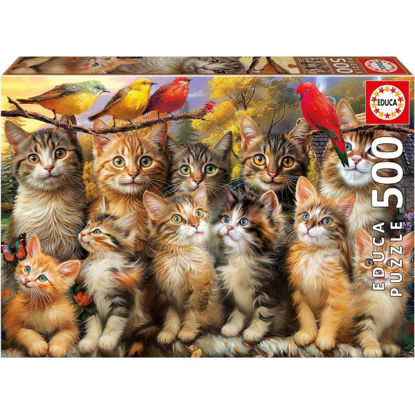 educ20241-puzzle-500pz-gatos-y-paja