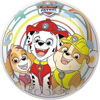 unic507301b048-balon-paw-patrol-14c